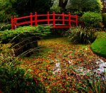 Japonská zahrada v Kildare