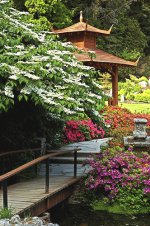 Japonská zahrada u domu Powerscourt