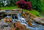 Vodopád v japonské zahradě Kildare