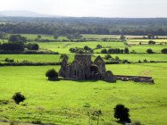 Zřícenina kláštera u Rock of Cashel