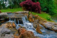 Vodopád v japonské zahradě v Kildare